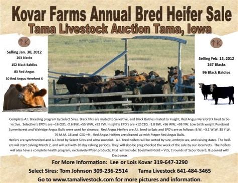 Tama livestock auction. Things To Know About Tama livestock auction. 